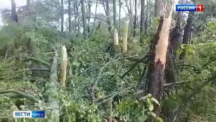 На Орловщине ураганный ветер раздел деревья