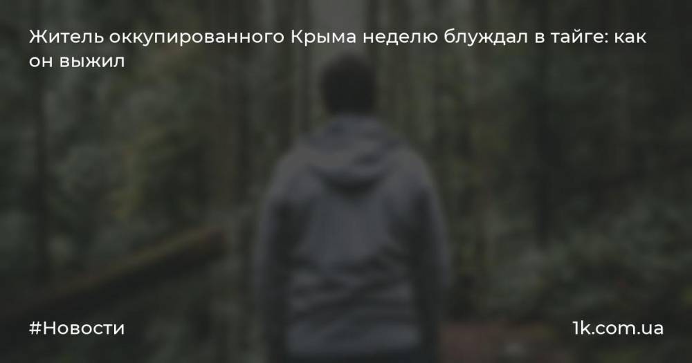 Житель оккупированного Крыма неделю блуждал в тайге: как он выжил