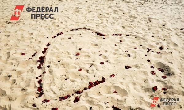Глава Севастополя отчитал чиновников за пляж в парке Победы