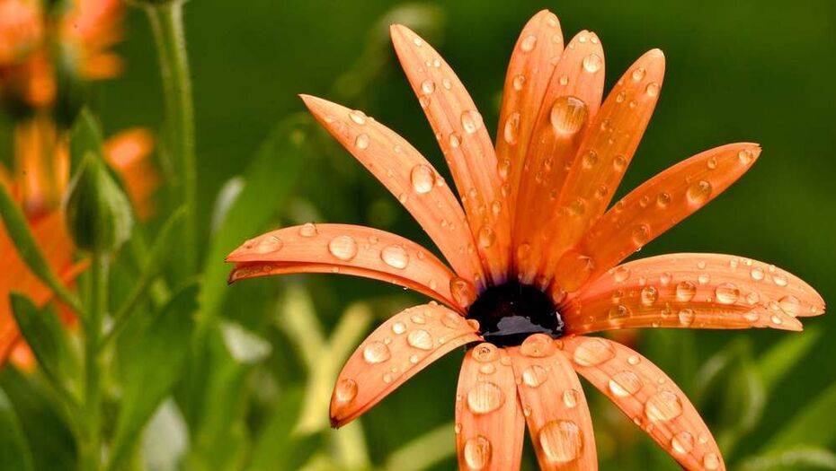 Прогноз погоды на 23 июня: в Акмолинской области и Нур-Султане ожидается дождь с грозой
