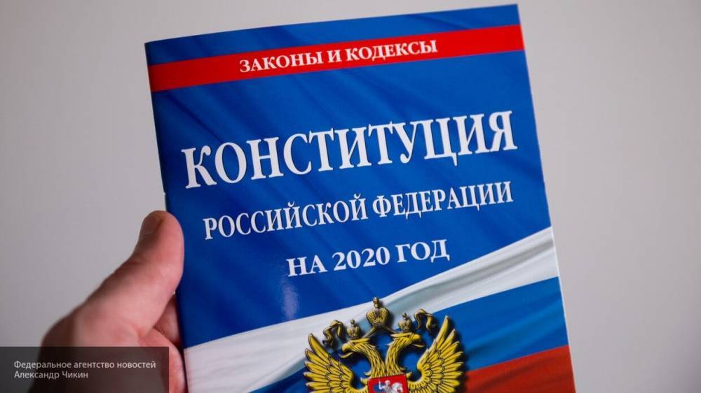Журналист Жвания: Поправки к Конституции РФ помогут избежать погромов, как в США