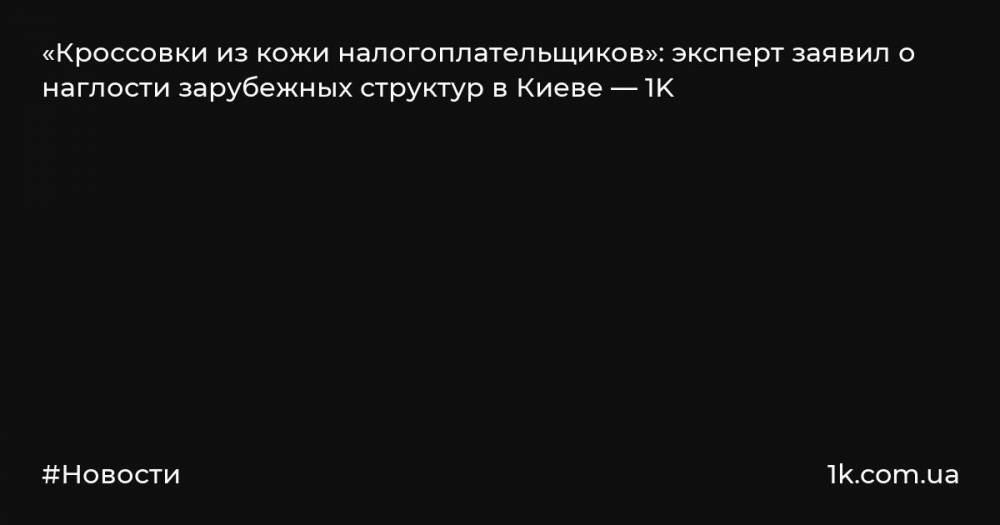 «Кроссовки из кожи налогоплательщиков»: эксперт заявил о наглости зарубежных структур в Киеве — 1K