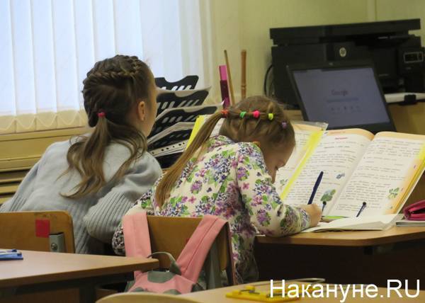 Научат Родину любить: Госдума приняла в первом чтении президентский закон о воспитании в школах