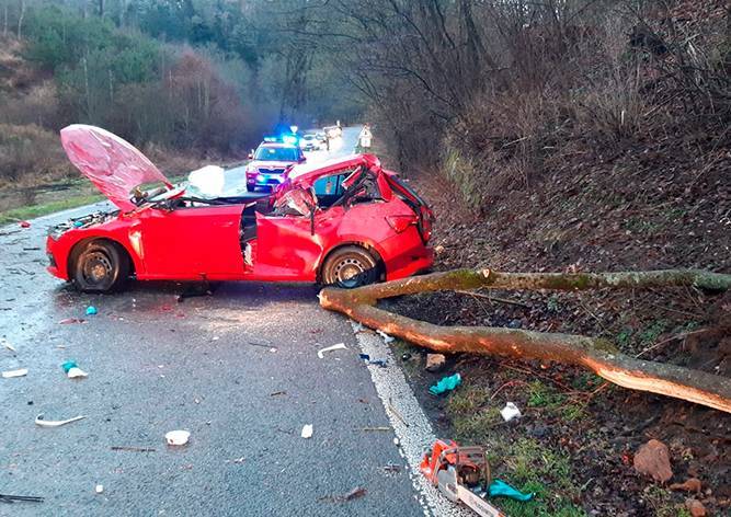 В Чехии на автомобиль упало дерево. Водитель погиб