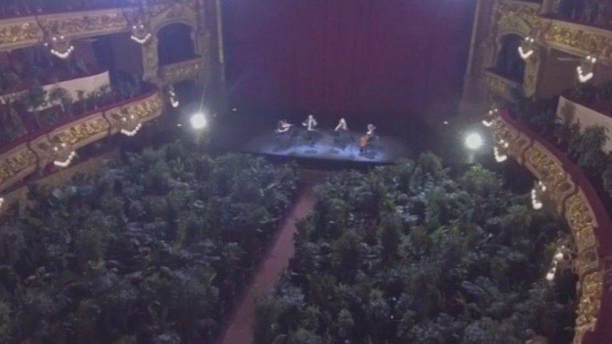 Аншлаг! Оперный театр в Барселоне устроил концерт для растений