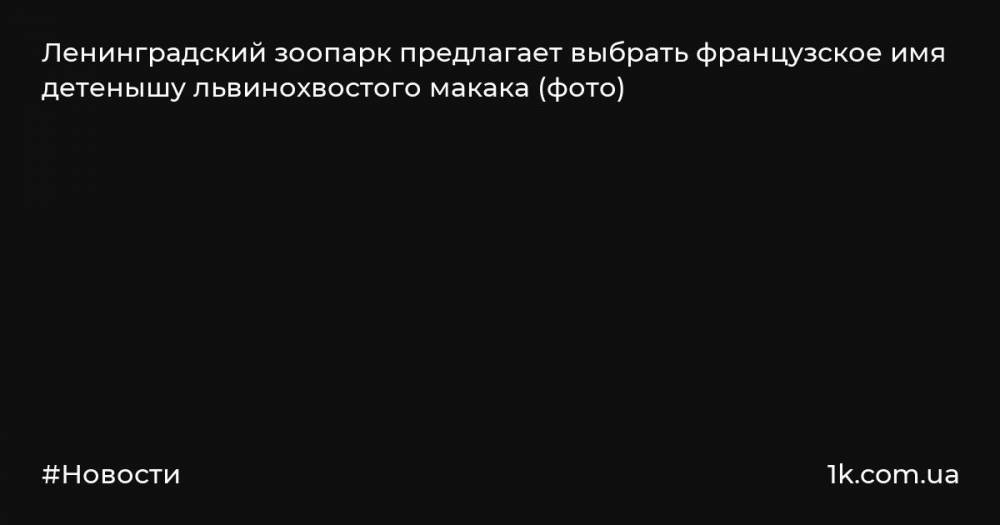 Ленинградский зоопарк предлагает выбрать французское имя детенышу львинохвостого макака (фото)