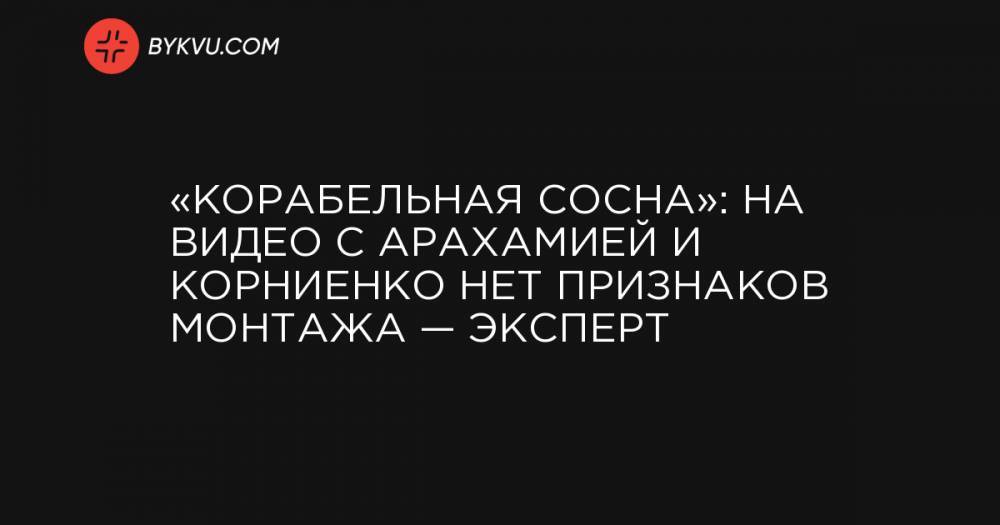 «Корабельная сосна»: на видео с Арахамией и Корниенко нет признаков монтажа — эксперт