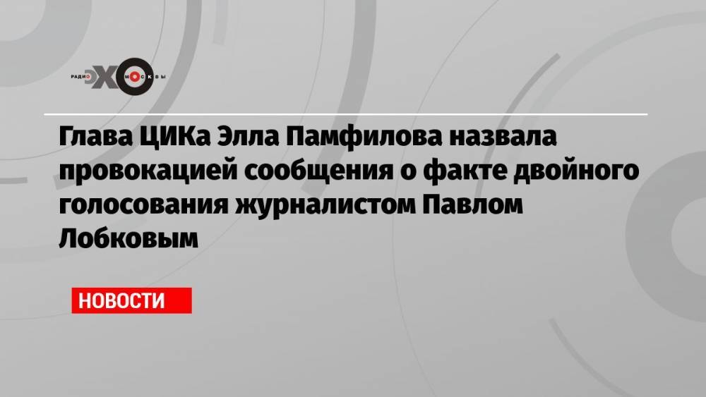 Глава ЦИКа Элла Памфилова назвала провокацией сообщения о факте двойного голосования журналистом Павлом Лобковым