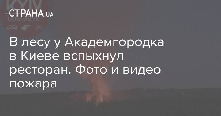 В лесу у Академгородка в Киеве вспыхнул ресторан. Фото и видео пожара