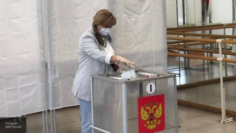 Элла Памфилова проголосовала по поправкам к Конституции