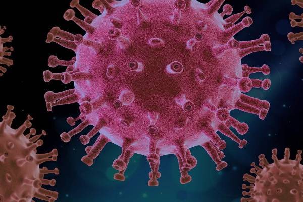 Американские ученые нашли у коронавируса «зловещие щупальца»