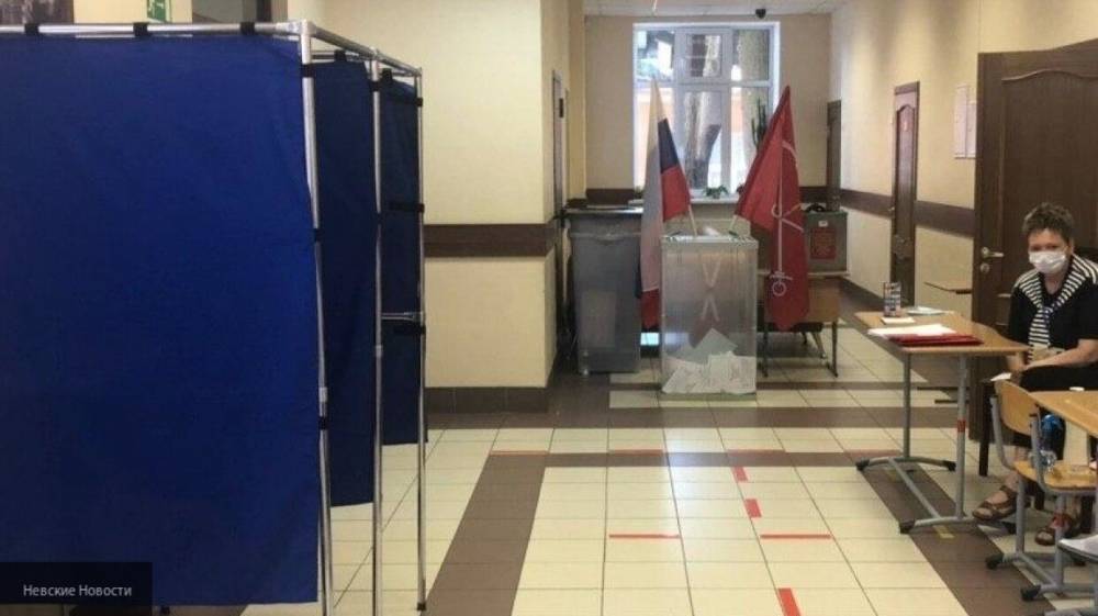 Общественная палата опровергла фейк о "мертвых душах" на голосовании в Челябинской област