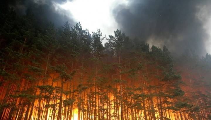 В России остался всего один крупный лесной пожар