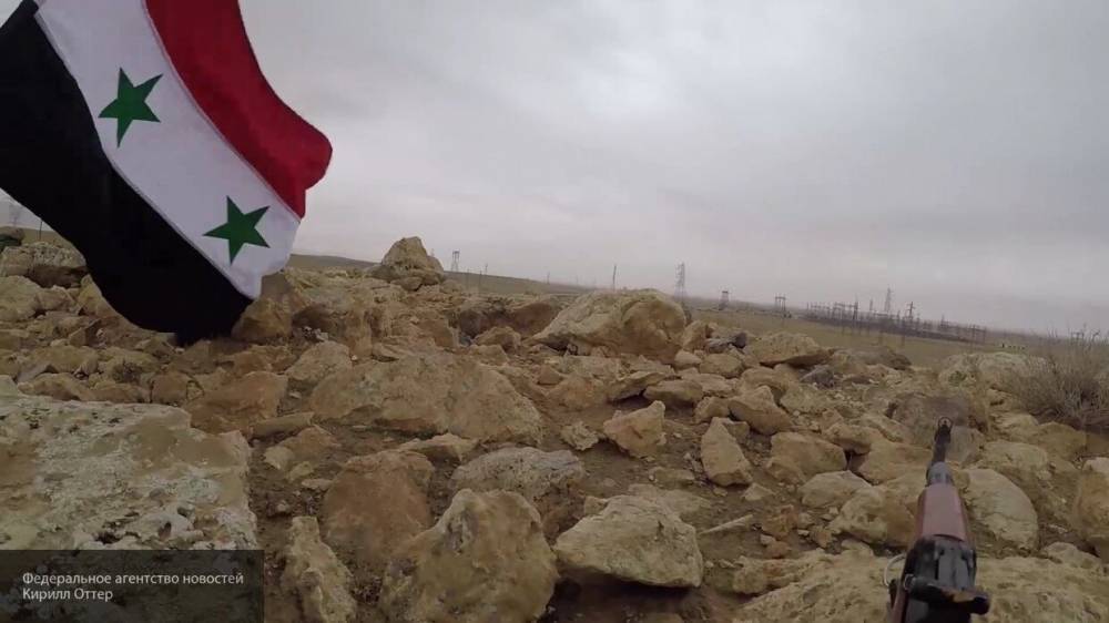 Соколов: жители Сирии протестуют против вмешательства США и поддерживают политику Асада