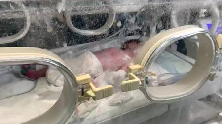 В дагестанском Каспийске спасают жизни новорожденных