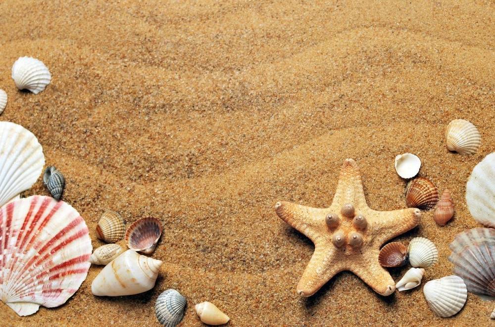 Лето 2020: названы топ-10 безопасных пляжей Европы