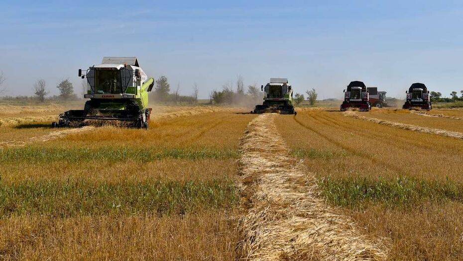 В Казахстане осенью планируют собрать 18,5 тонны зерна. Это меньше, чем в прошлом засушливом году
