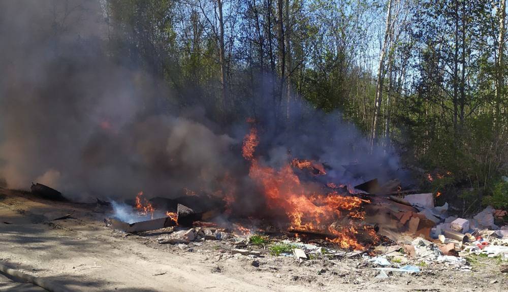 В Петрозаводске загорелась свалка