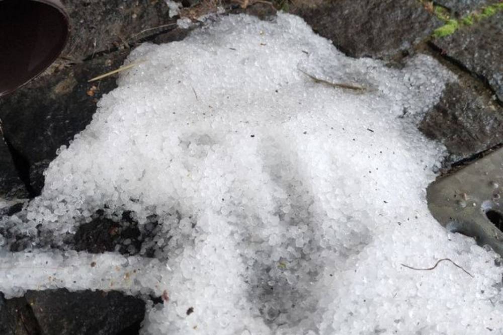 Синоптик опроверг выпадение снега под Киевом в начале лета и объяснил аномалию