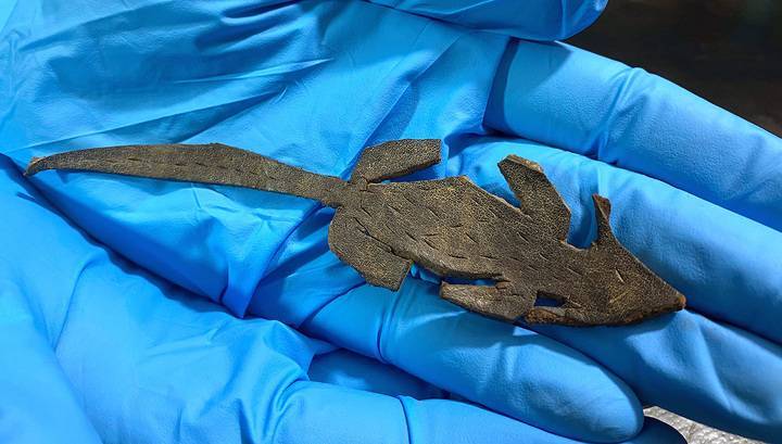 Игрушка или розыгрыш? В Виндоланде нашли древнеримскую кожаную "мышь"