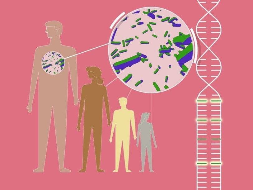 Генетическая аутоиммунная болезнь помогает организму противостоять чуме