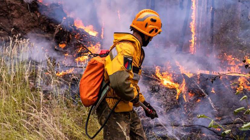 В России за сутки ликвидировали 26 лесных пожаров