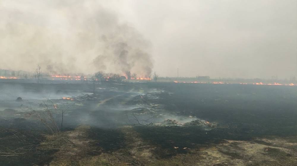 В Воронежской области за весну произошло более 2 тыс. ландшафтных пожаров