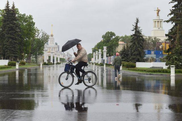 МЧС предупреждает москвичей о надвигающейся грозе с сильным ветром