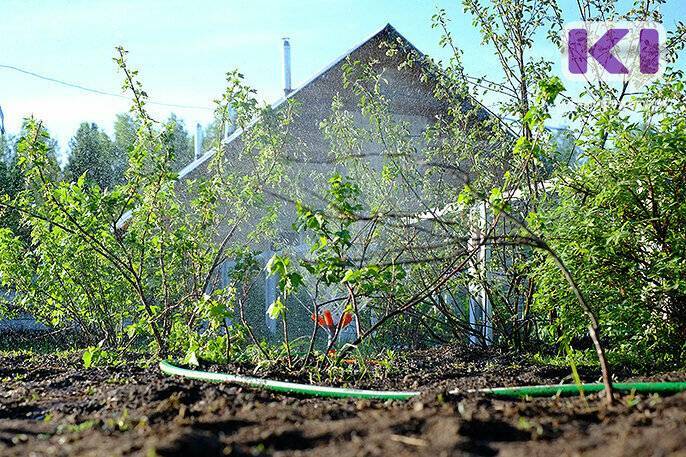 В Коми малоимущим предоставят единовременную выплату на садоводство и огородничество