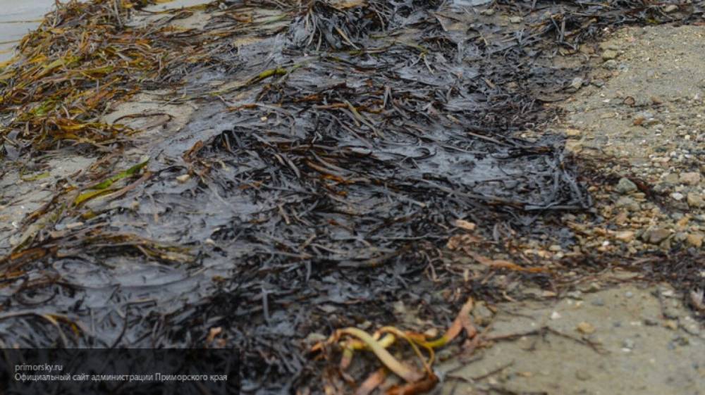 Спасатели ликвидируют последствия разлива нефти после прорыва нефтепровода в Прикамье