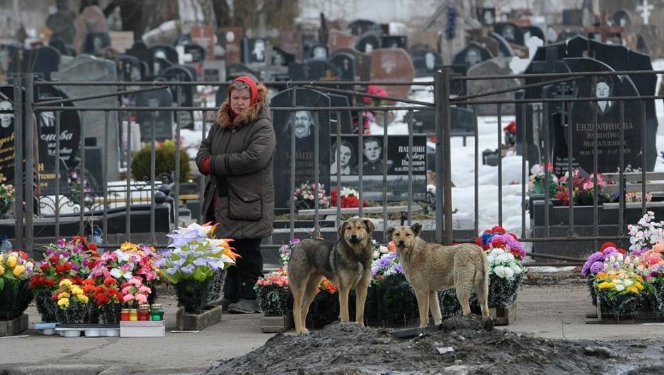 В Великом Новгороде на Троицу закроют кладбища