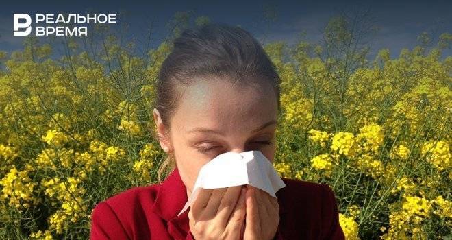 В Татарстане запустили сервис для аллергиков, помогающий следить за концентрацией пыльцы в воздухе