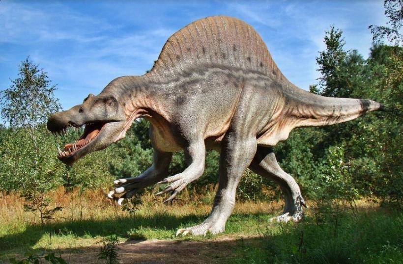 В Китае в бомбоубежище обнаружены следы динозавров