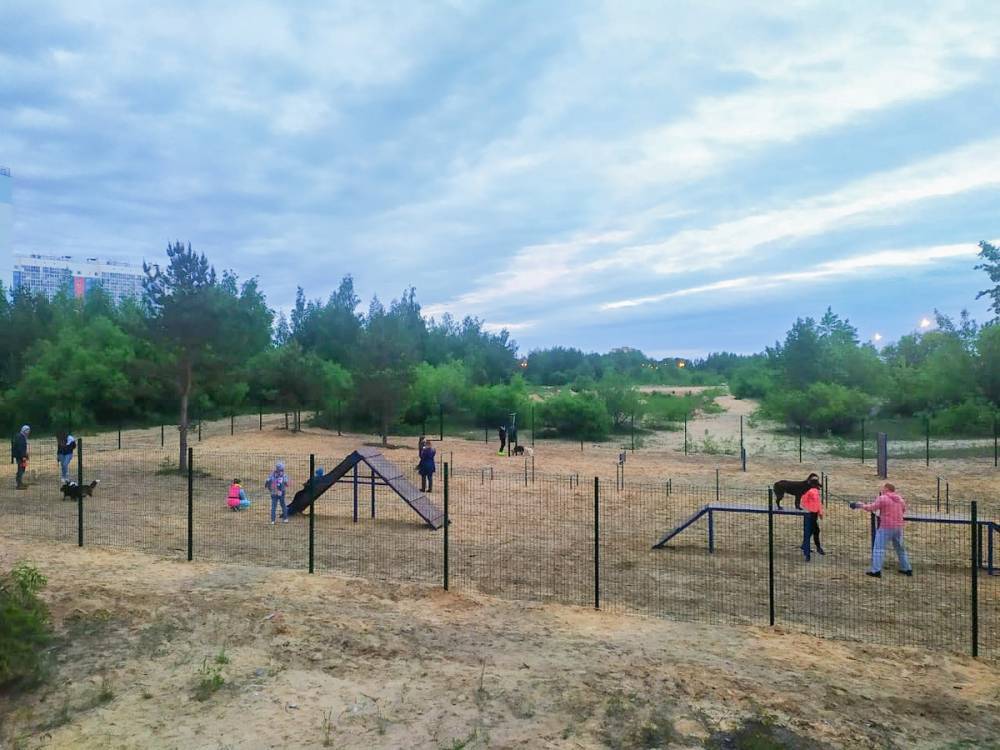 Для четвероногих питомцев сормовичей открыли новую игровую площадку