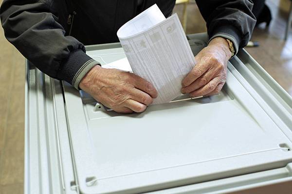 Петербург подал заявку на проведение электронного голосования по поправкам в Конституцию в ЦИК