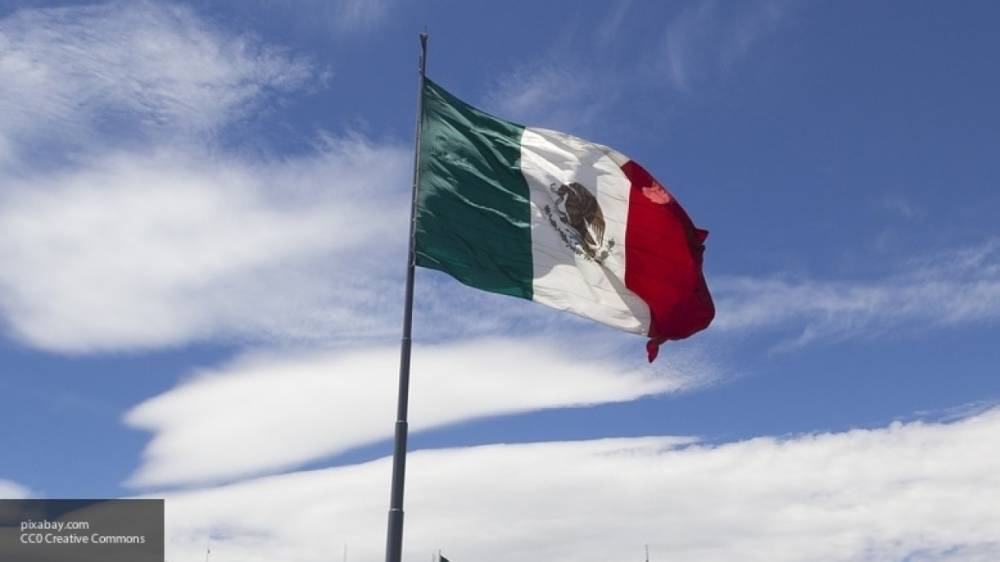 Политик из Мексики не выключила камеру на онлайн-встрече и показала голую грудь