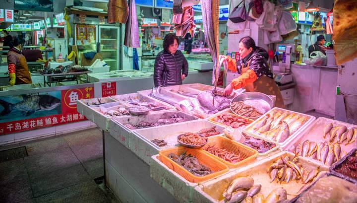 10 ведущих стран мира по экспорту рыбы и морепродуктов