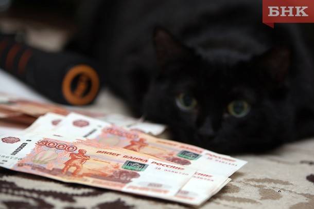 Полицейские вернули деньги обманутым мошенником жителям Коми