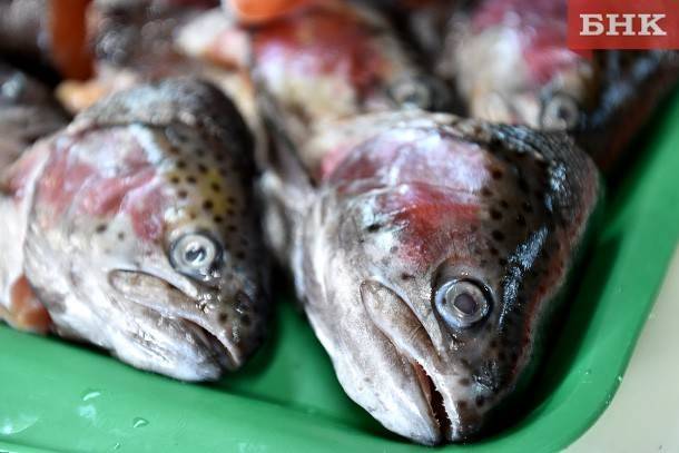 Россельхознадзор предупредил жителей Коми о паразитирующей рыбе
