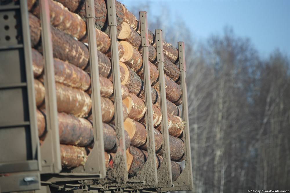 Еще две компании будут осваивать лес в Томской области