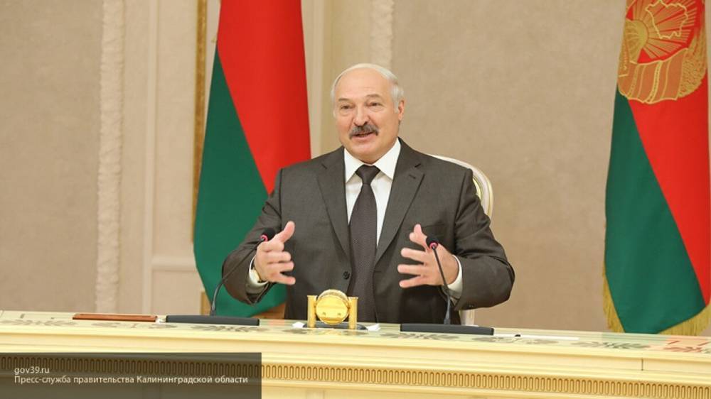 Лукашенко заявил о "мертворожденных поросятах", рассуждая о предвыборной кампании Цепкало