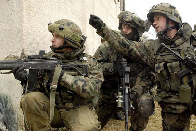 В России отреагировали на военные учения Польши и США