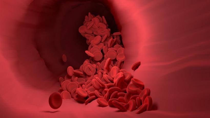 Ученые отнесли коронавирус к заболеваниям кровеносных сосудов