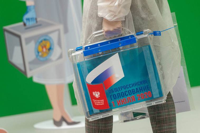 Электронное голосование по поправкам в Конституцию пройдет в Москве и Нижегородской области