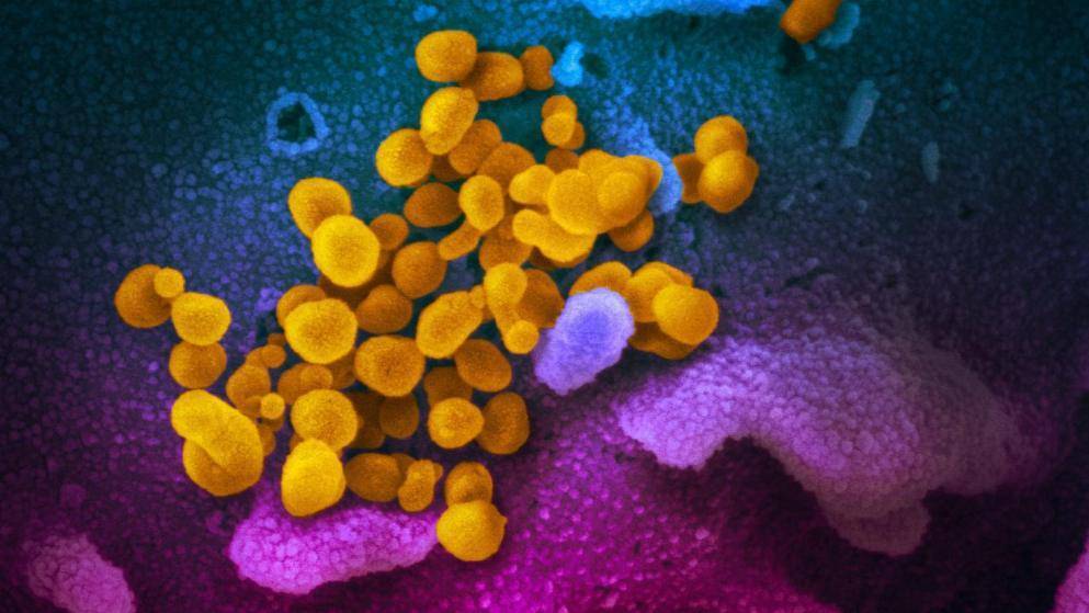 Когда исчезнет коронавирус? Число инфицированных в Германии продолжает снижаться