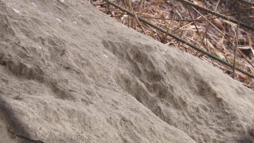 Учёные ищут на плите в Кисловодске следы динозавров