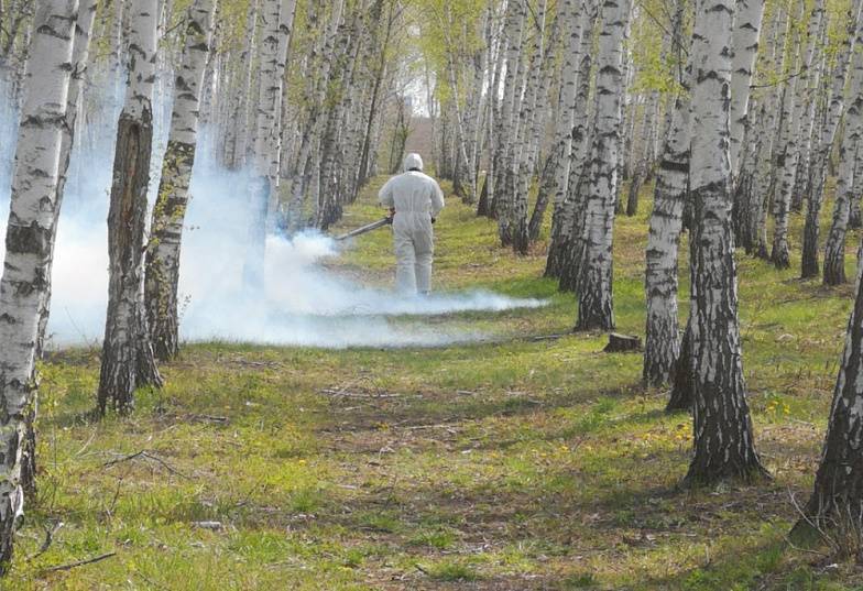 В Ростове парки и скверы обработали от клещей, а водоемы - от комаров