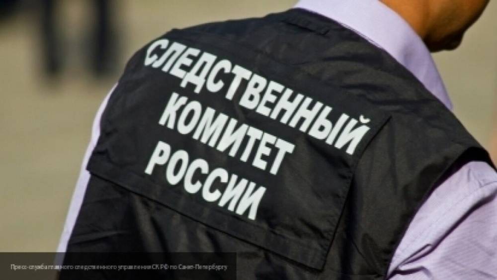 СК РФ возбудил уголовное дело в отношении Платошкина за призывы к беспорядкам