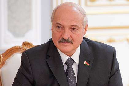 В соцсети нашли объяснение словам Лукашенко о «мертворожденных поросятах»