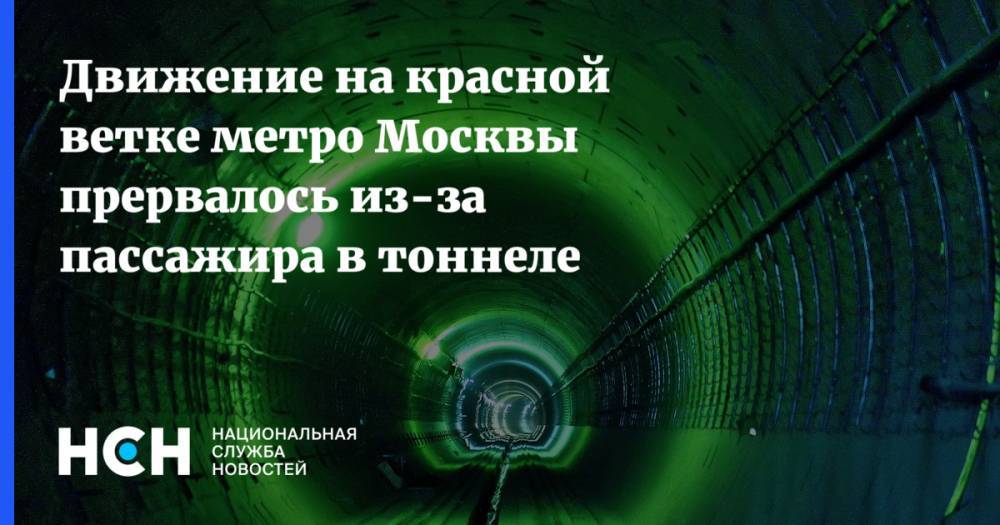 Движение на красной ветке метро Москвы прервалось из-за пассажира в тоннеле